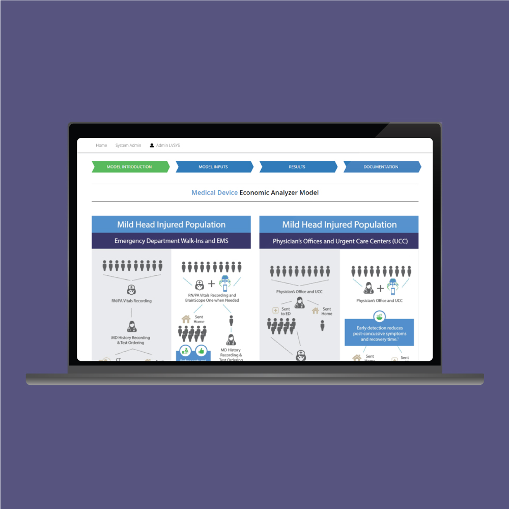 Custom Web Application for an Economic Development Model | Case Study